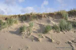sandy dunes goulien.JPG