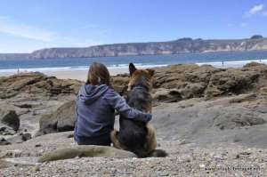 Felix the shepherd with his best friend on the beach Goulien
